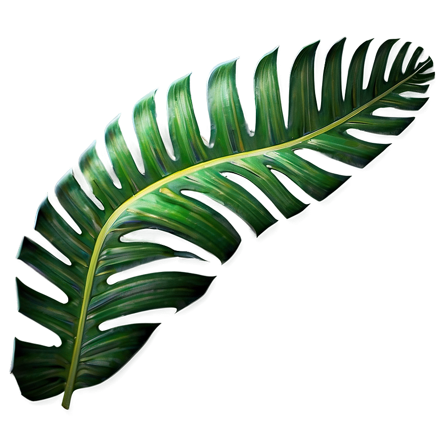 Tropical Palm Leaves Png Jhc PNG image