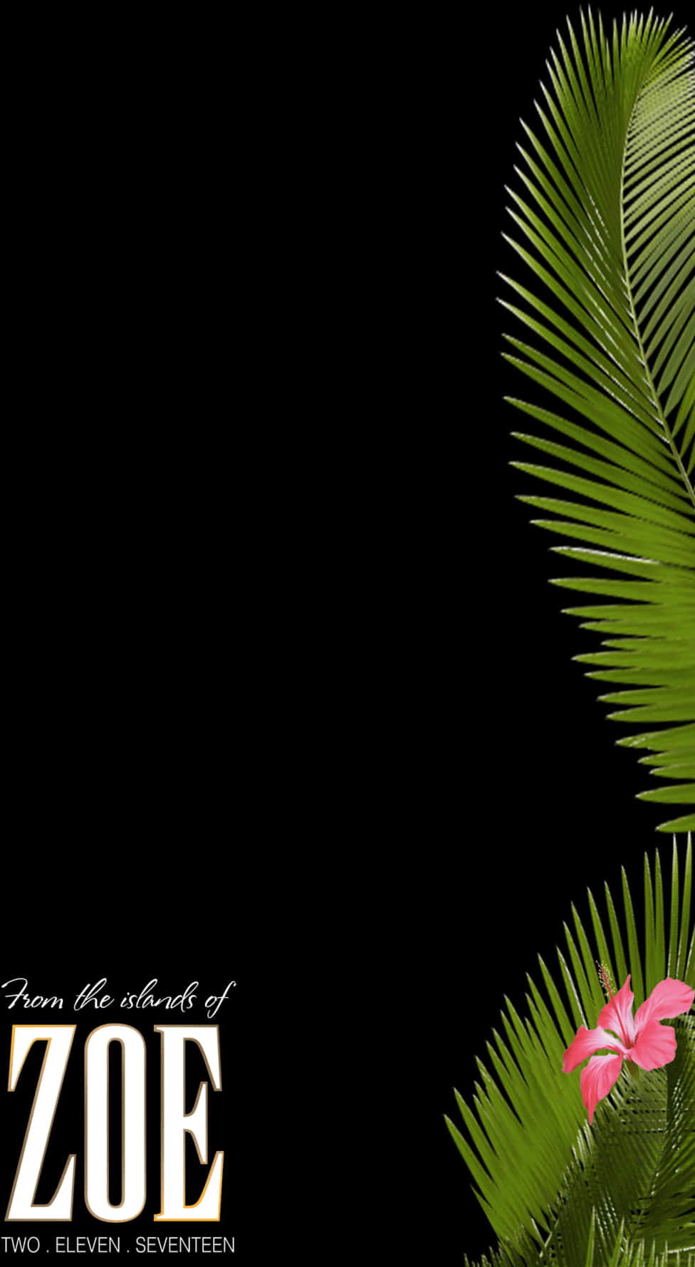 Tropical Palm Leavesand Flower Graphic PNG image