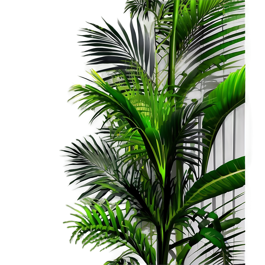 Tropical Palm Plant Png 75 PNG image