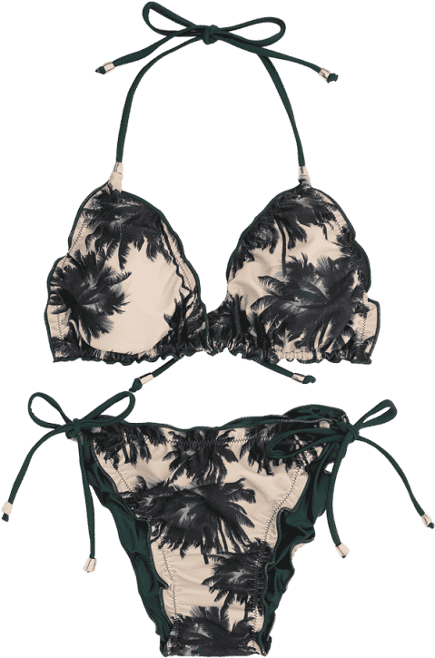 Tropical Palm Print Bikini PNG image