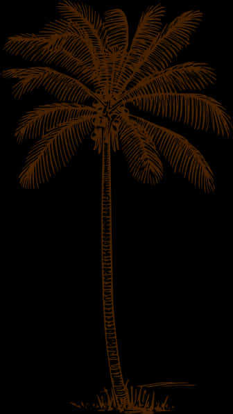 Tropical Palm Silhouette PNG image