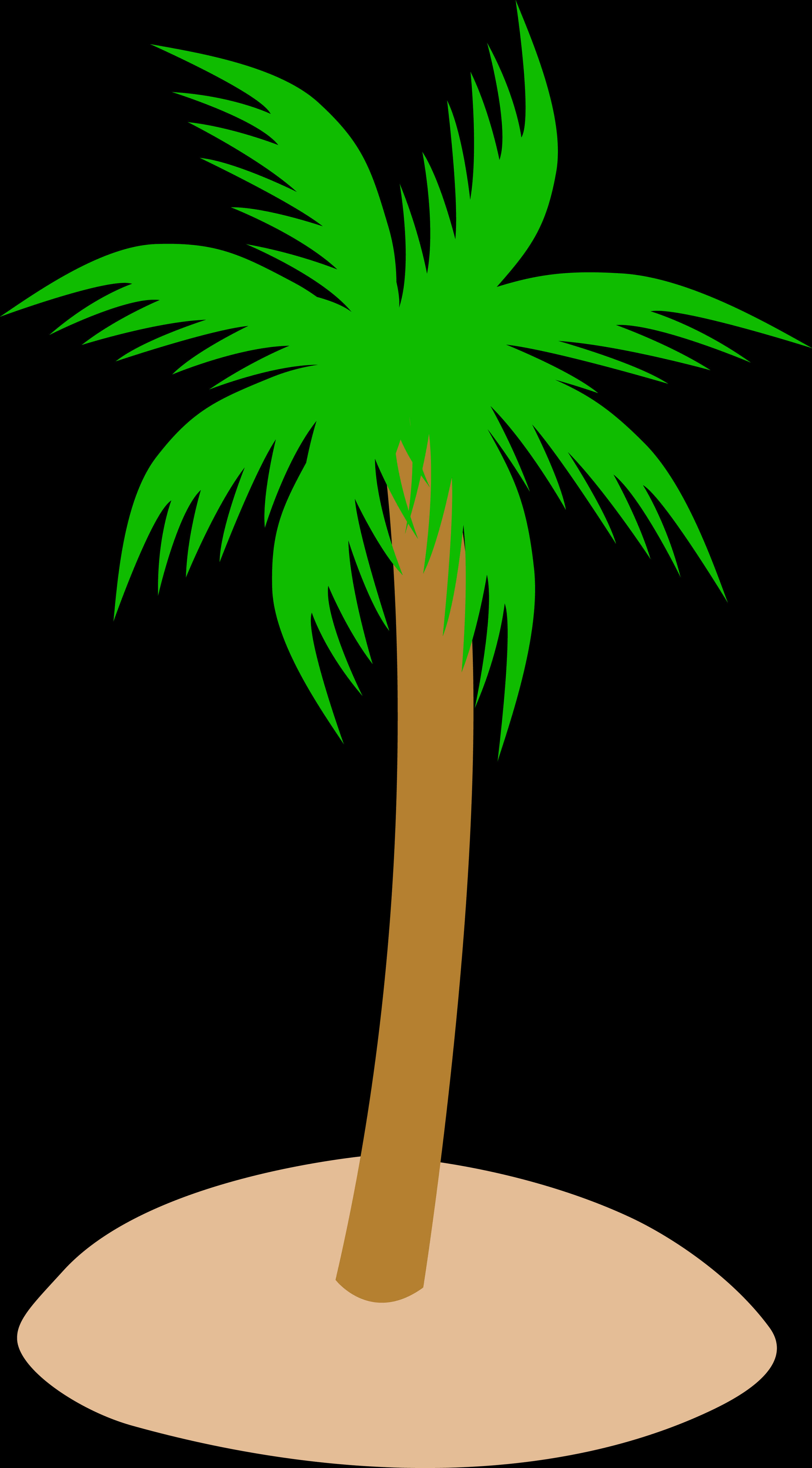 Tropical Palm Tree Graphic PNG image