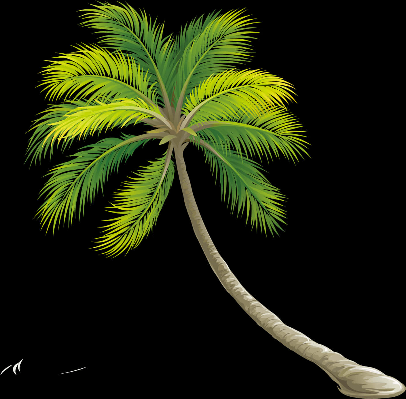 Tropical Palm Tree Illustration PNG image