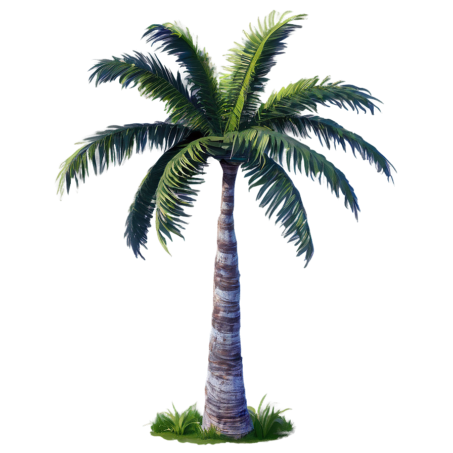 Tropical Palm Trees Png 05042024 PNG image