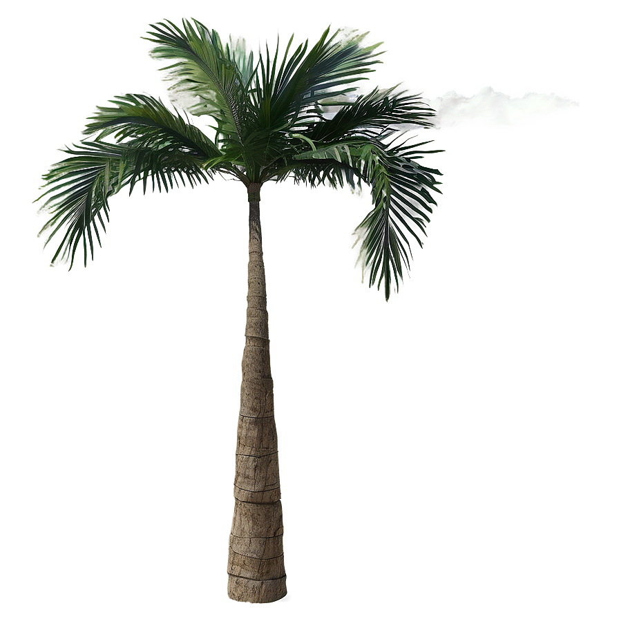 Tropical Palm Trees Png Juf37 PNG image