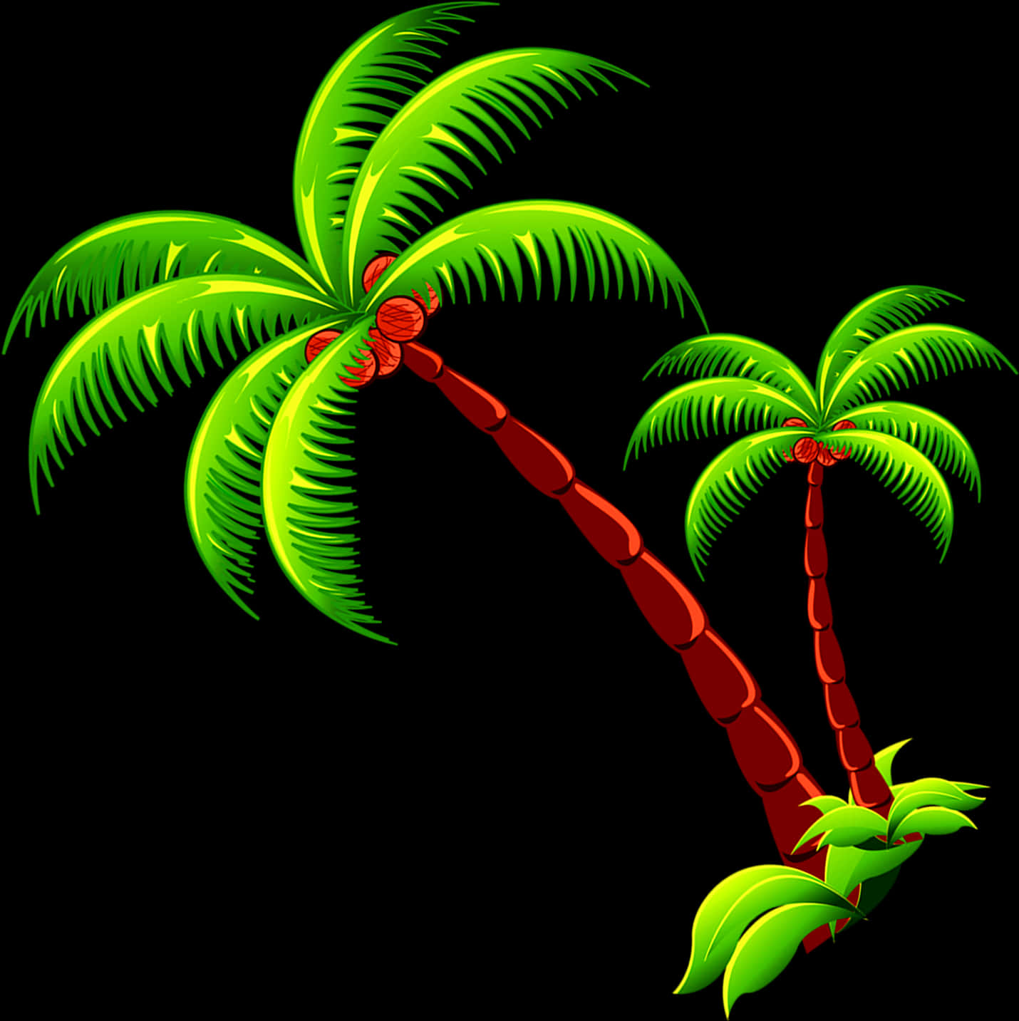 Tropical Palm Trees Vector PNG image