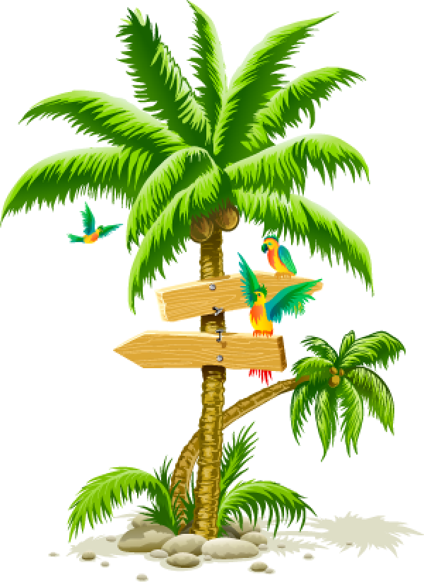 Tropical Palm Treewith Directional Signsand Parrots PNG image