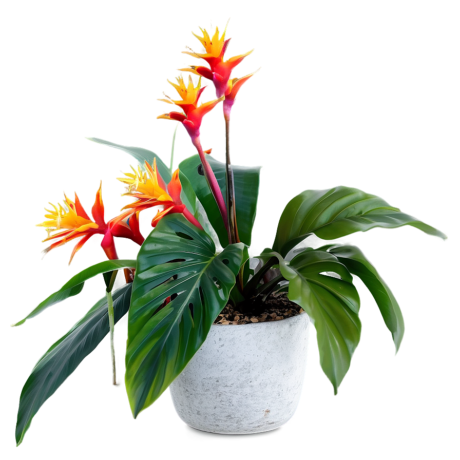 Tropical Plant Arrangement Png 06252024 PNG image