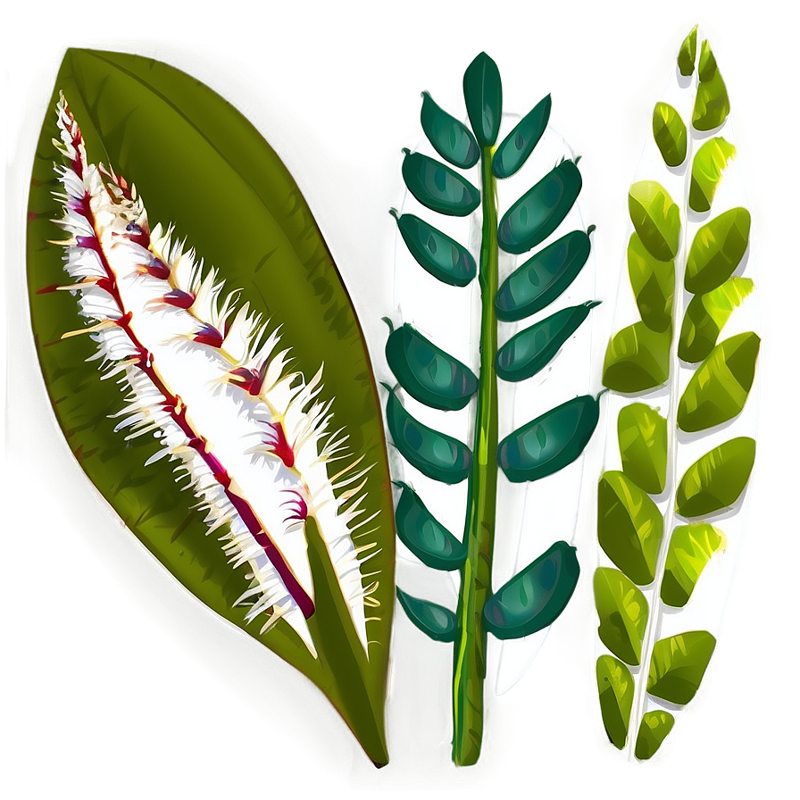 Tropical Plant Art Png Pwv15 PNG image