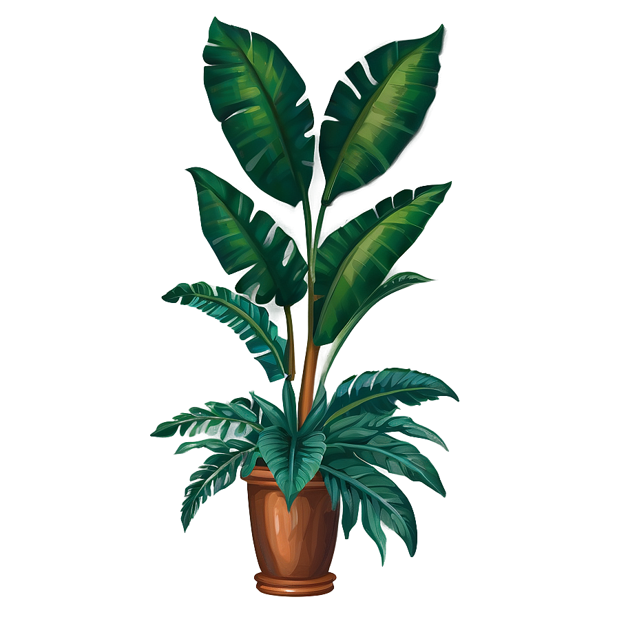 Tropical Plant Art Png Qqb90 PNG image