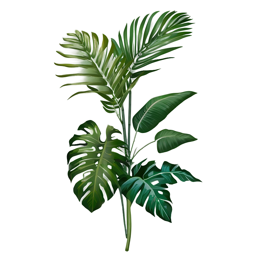 Tropical Plant Bouquet Png 86 PNG image