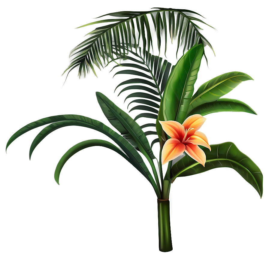 Tropical Plant Illustration Png 06272024 PNG image