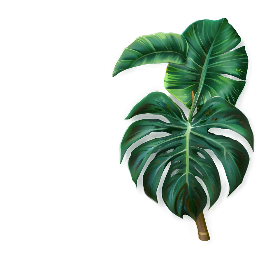 Tropical Plant Wallpaper Png 82 PNG image