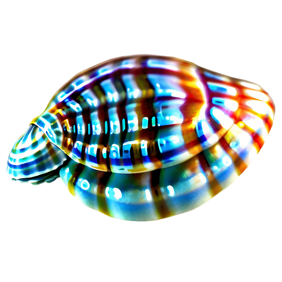 Tropical Seashell Design Png Oxx PNG image