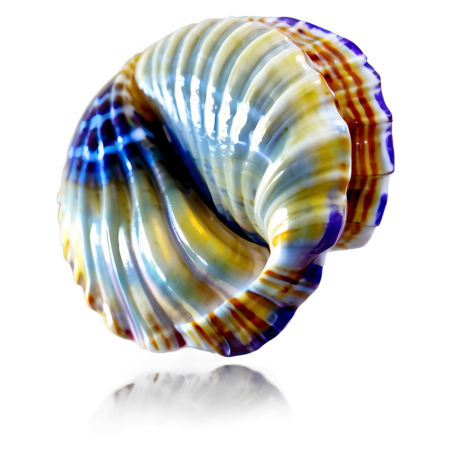 Tropical Shell Illustration Png Ehq PNG image