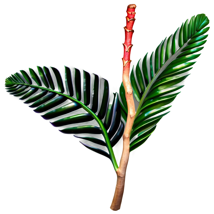 Tropical Tree Branch Png 05252024 PNG image