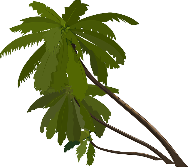 Tropical Tree Digital Artwork PNG image