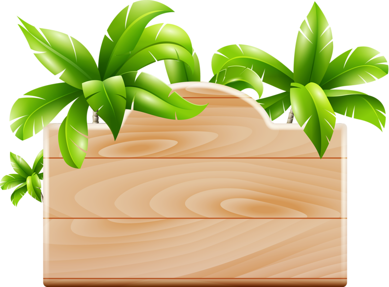 Tropical Tree Folder Icon PNG image