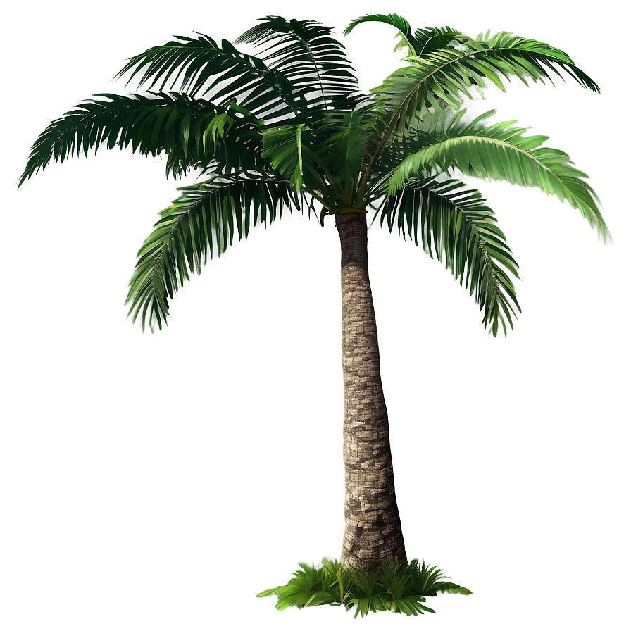 Tropical Trees Png 05042024 PNG image