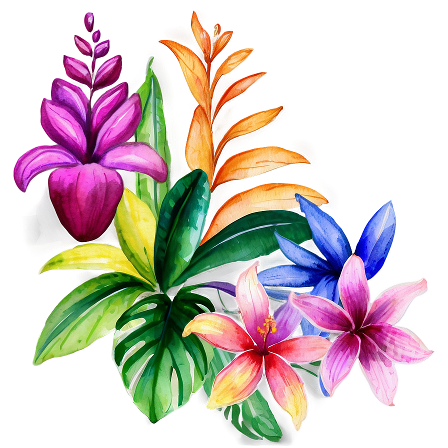 Tropical Watercolor Flowers Png Rmj52 PNG image