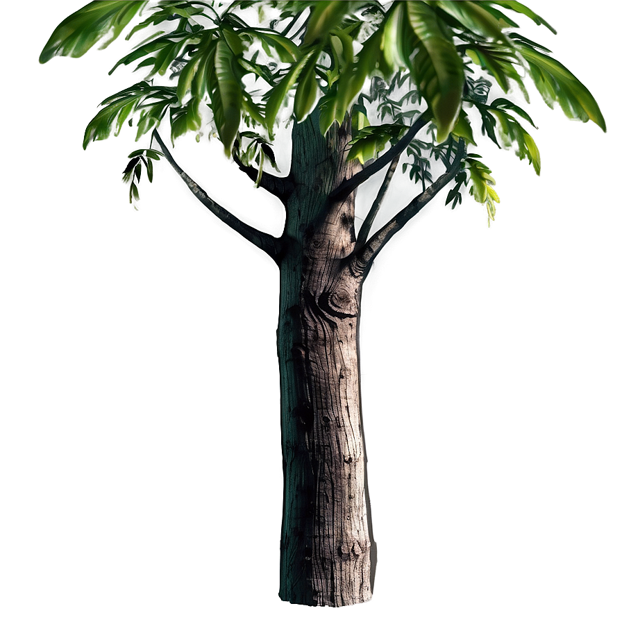 Trunk With Plants Png Loy76 PNG image