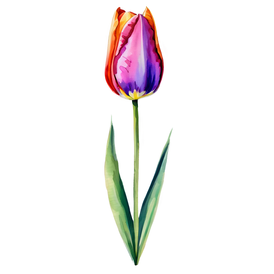 Tulip Watercolor Png 05212024 PNG image