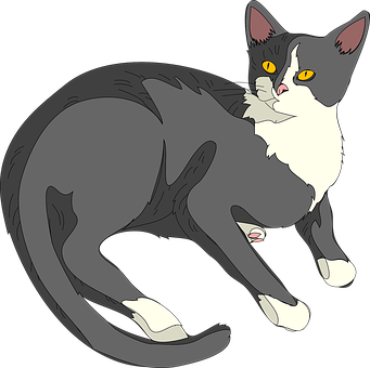 Tuxedo Cat Illustration PNG image