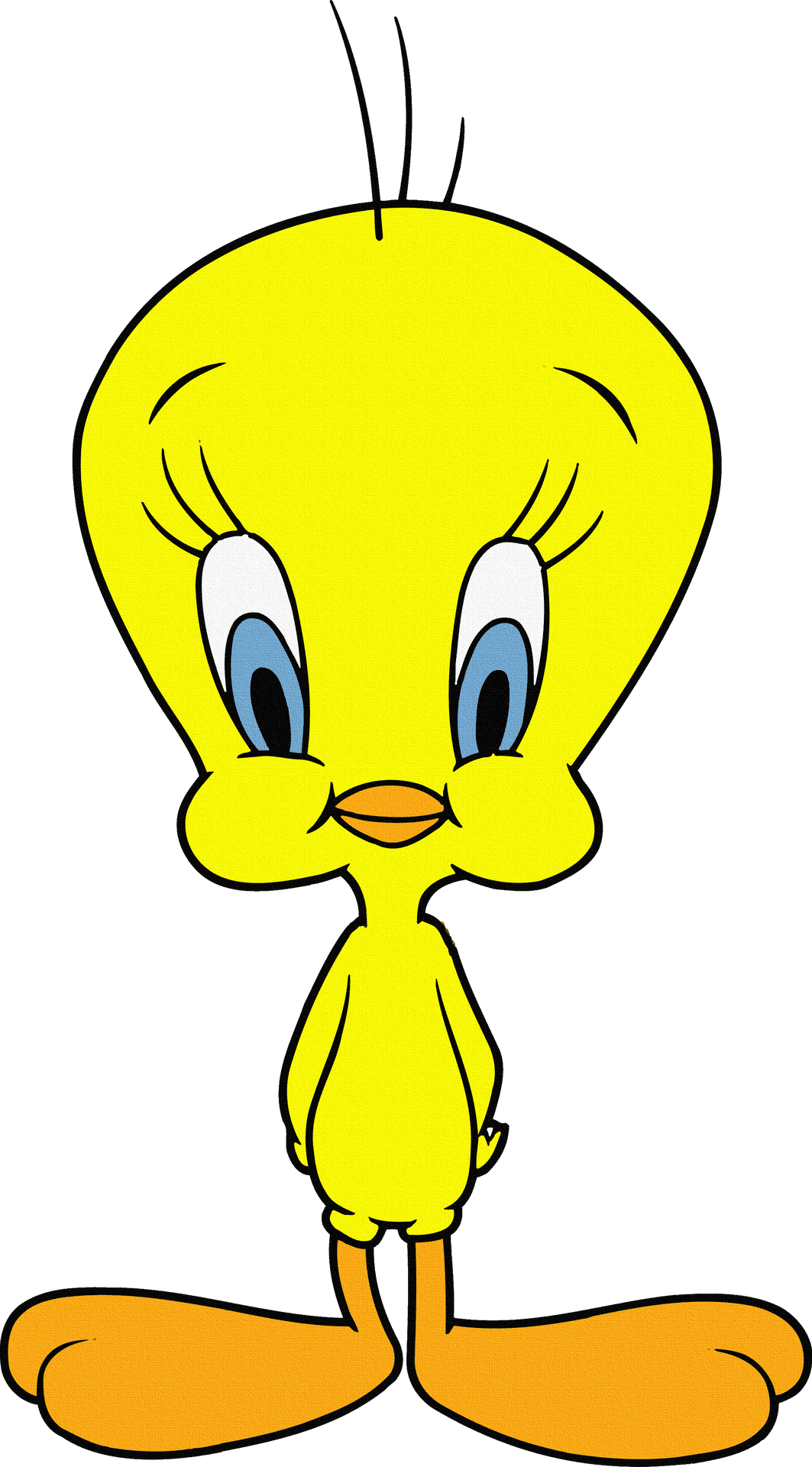 Tweety Bird Standing PNG image