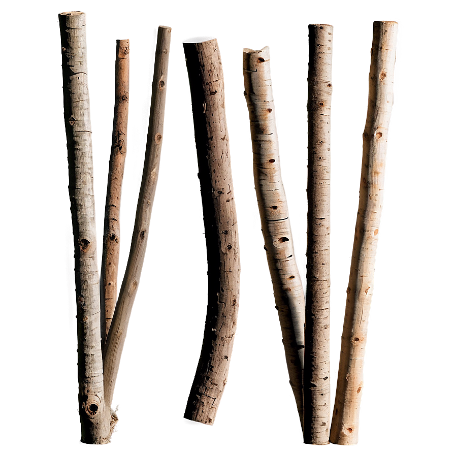 Twigs And Sticks Png 06132024 PNG image