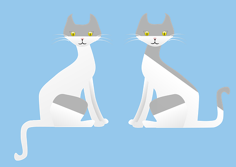 Twin Gray Cats Illustration PNG image