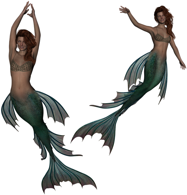 Twin Mermaids Illustration PNG image