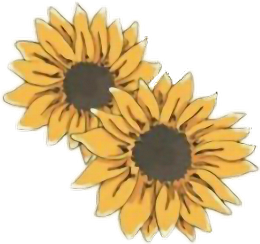 Twin Sunflowers Artistic Render.png PNG image