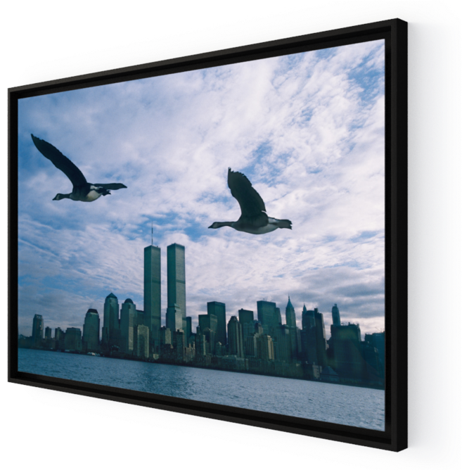 Twin_ Towers_and_ Flying_ Birds PNG image