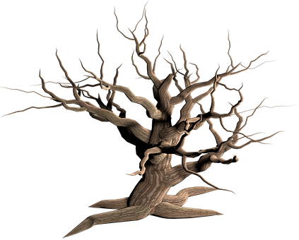 Twisted Bare Tree Black Background PNG image