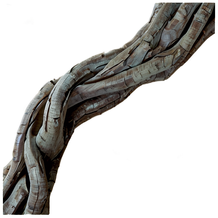 Twisted Tree Branch Png Wyw PNG image