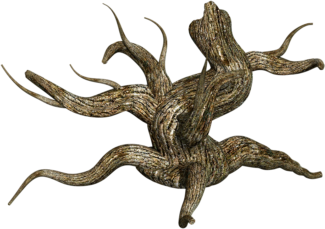 Twisted Tree Trunk Artwork PNG image