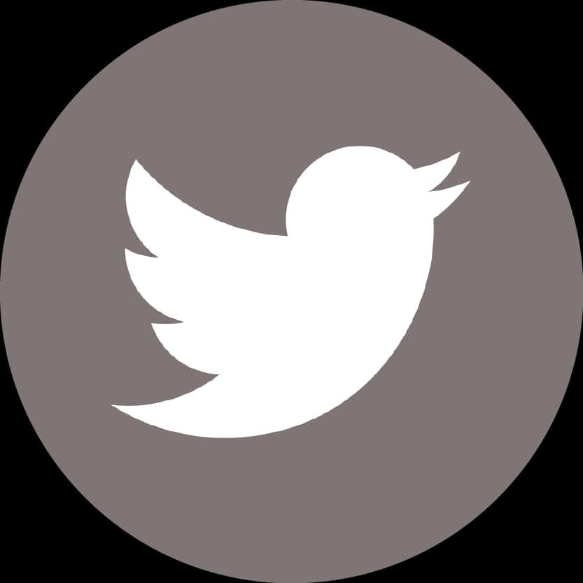 Twitter Icon Simple Design PNG image