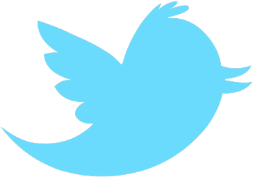 Twitter Logo Blue Bird PNG image