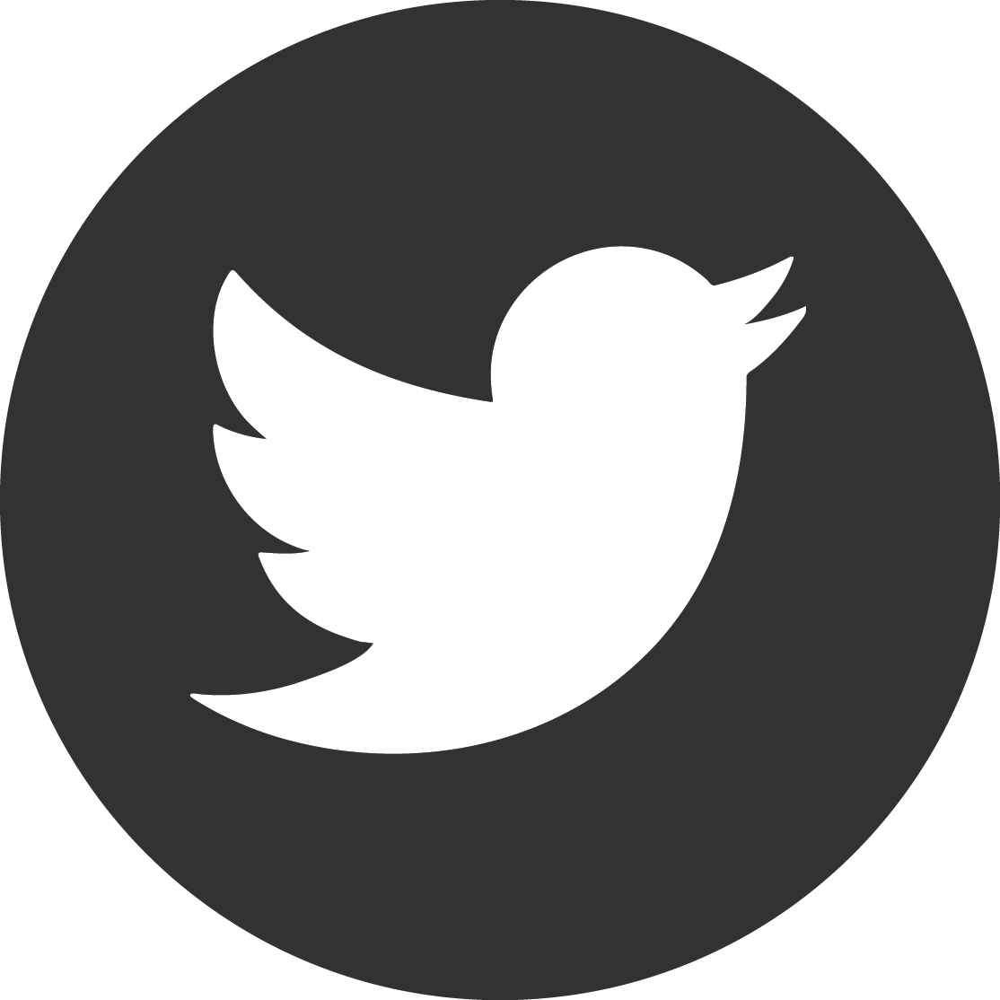 Twitter Logo Icon PNG image