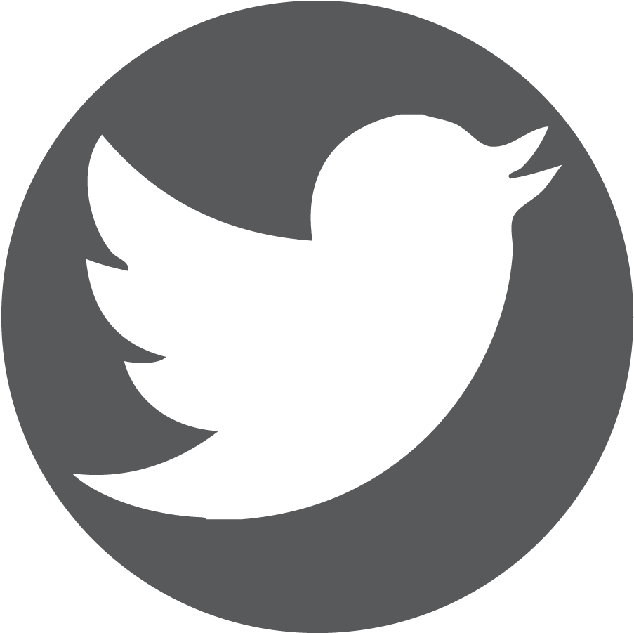 Twitter Logo Icon PNG image