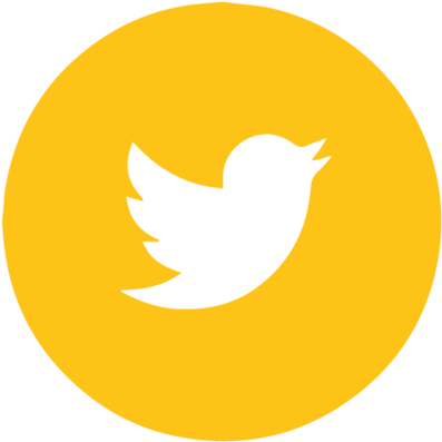 Twitter Logo Icon PNG image