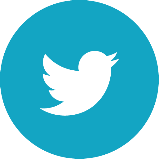 Twitter Logo Icon PNG image