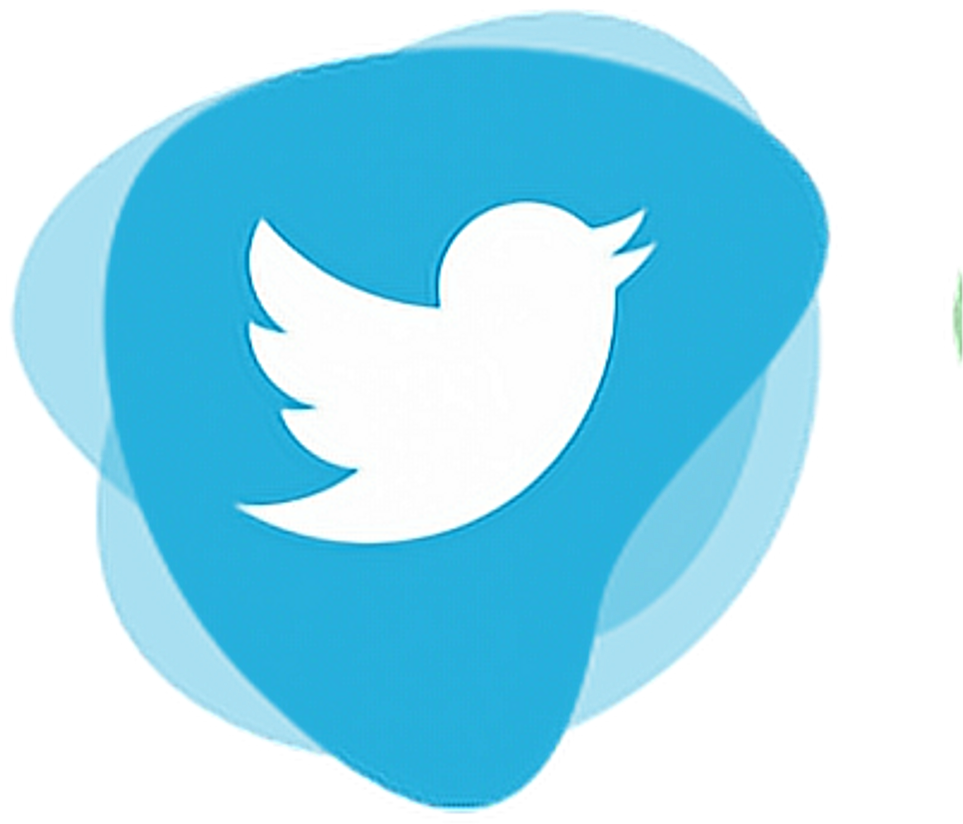 Twitter Logo Icon PNG image