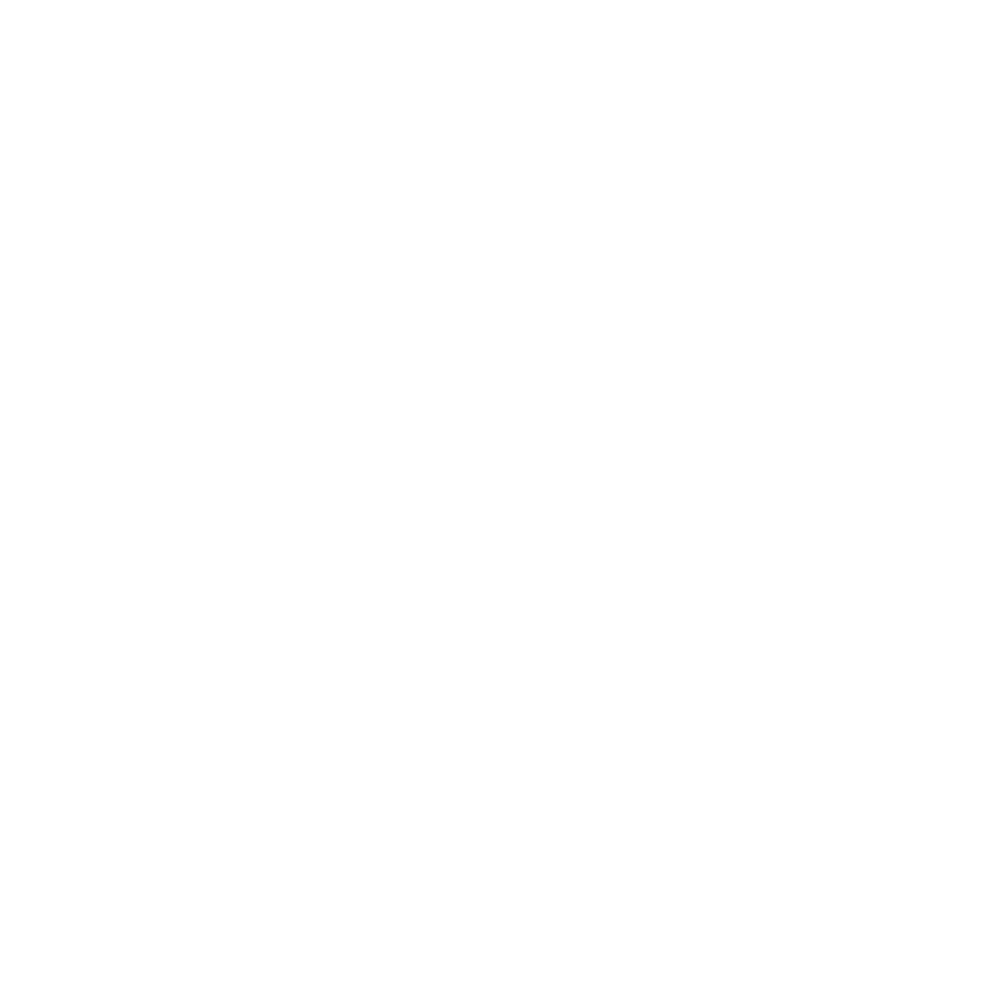 Twitter Logo Silhouette PNG image