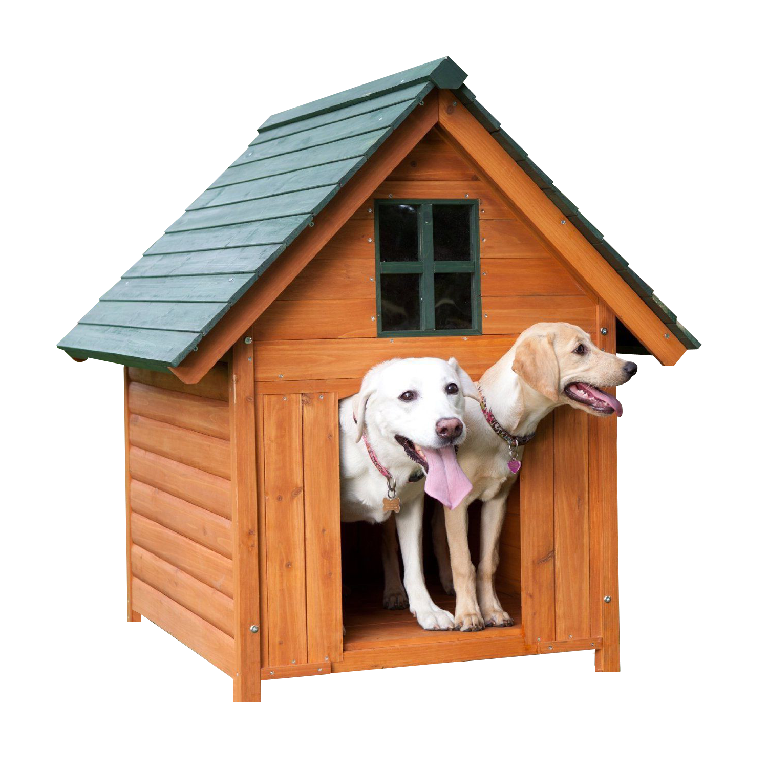Two Dogsin Wooden House PNG image