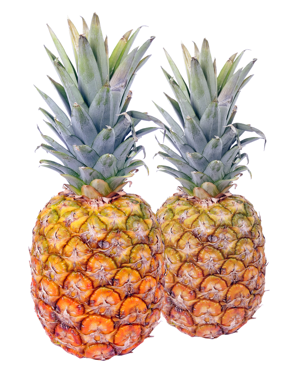 Two Fresh Pineapples Isolated PNG image