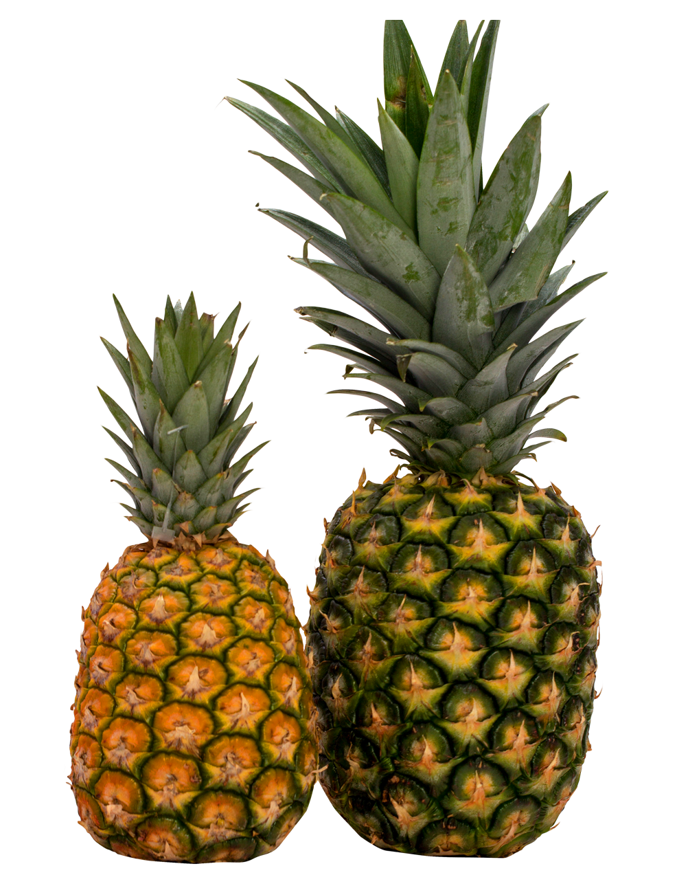 Two Pineapples Sideby Side PNG image