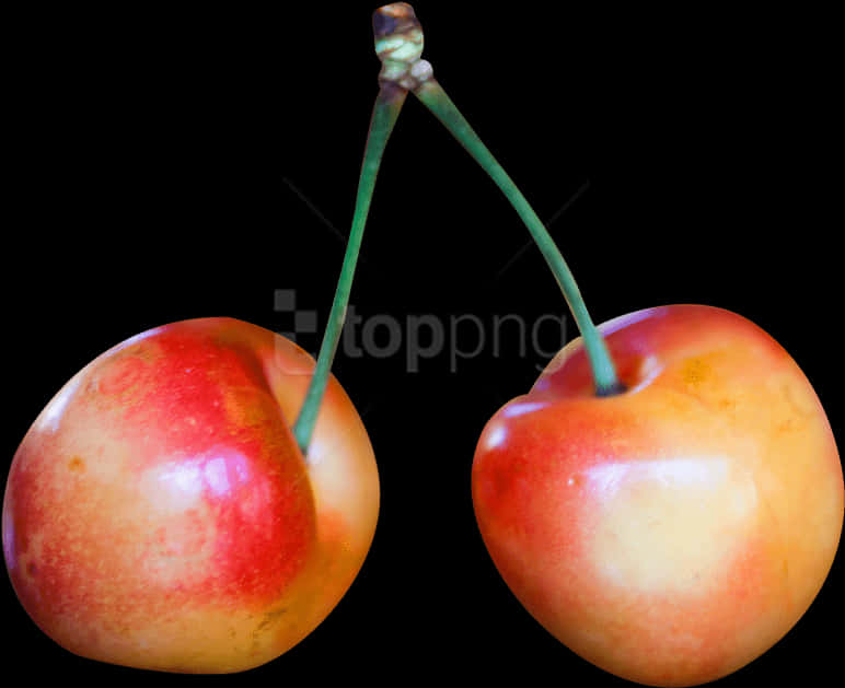 Two Rainier Cherries Black Background PNG image