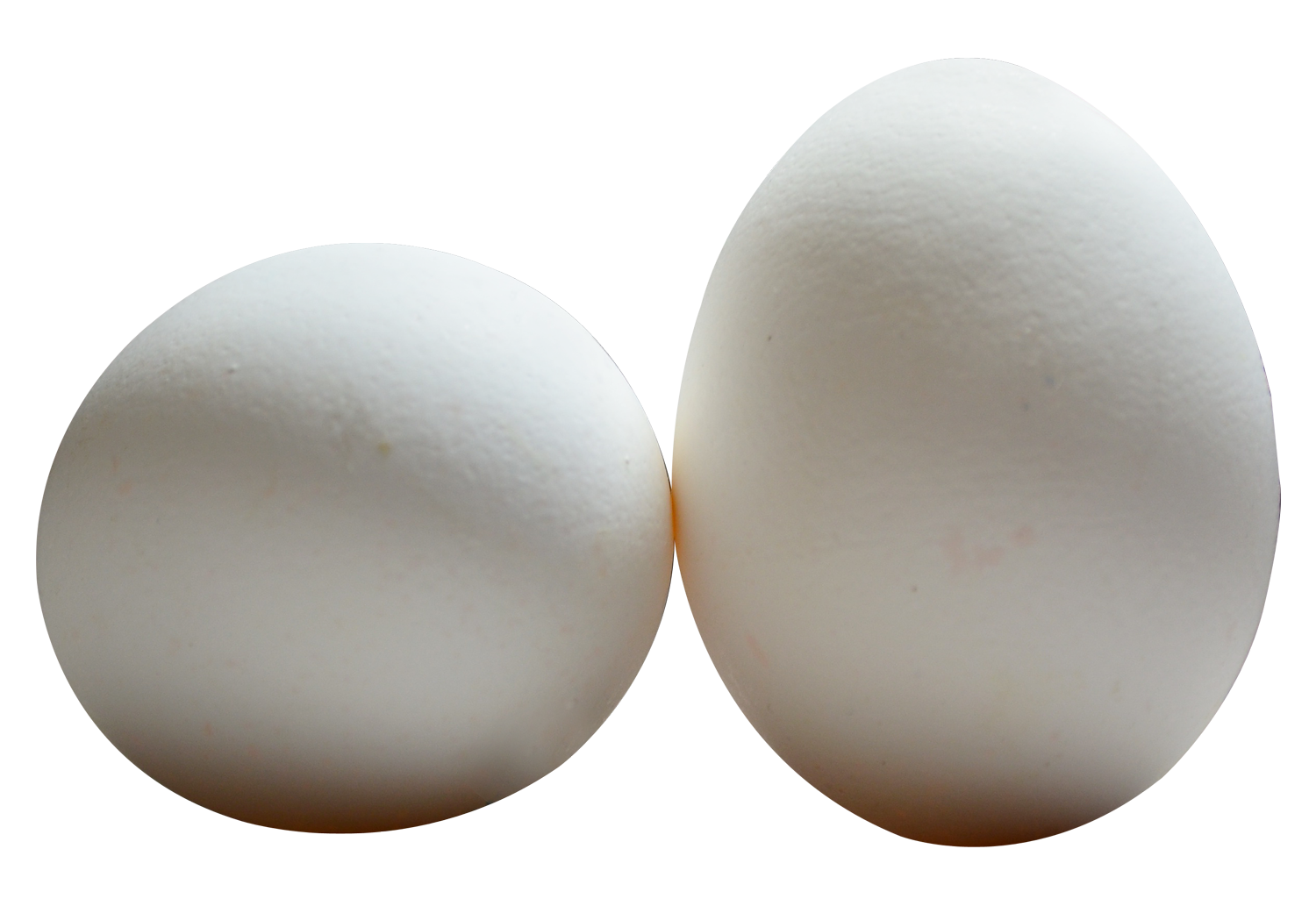 Two White Eggson Gray Background PNG image