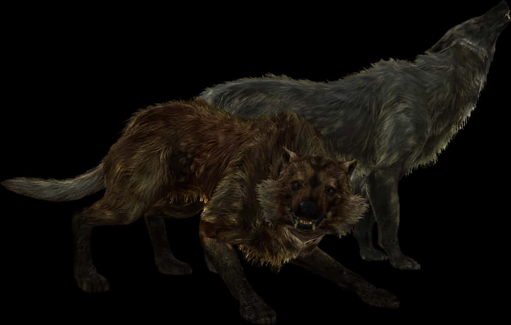 Two Wolves Standing Dark Background PNG image